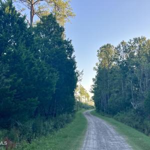Photo #11 of 555 Upper Neck, Bayboro, NC 2.0 acres