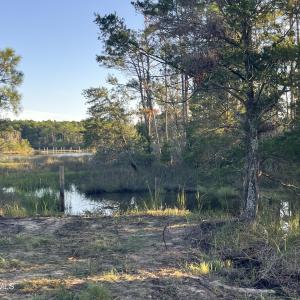 Photo #9 of 555 Upper Neck, Bayboro, NC 2.0 acres