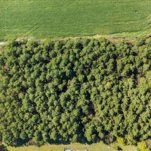 Photo #4 of Mcneill Mill, Broadway, NC 2.6 acres
