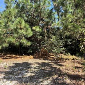 Photo #3 of 421 Bobby Jones, Wilmington, NC 0.3 acres