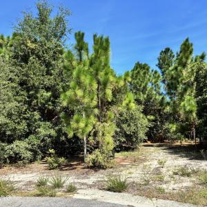 Photo #2 of 421 Bobby Jones, Wilmington, NC 0.3 acres