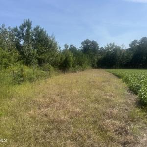Photo #2 of Bud Stephens, Evergreen, NC 54.5 acres