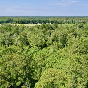 Photo #1 of Bud Stephens, Evergreen, NC 54.5 acres