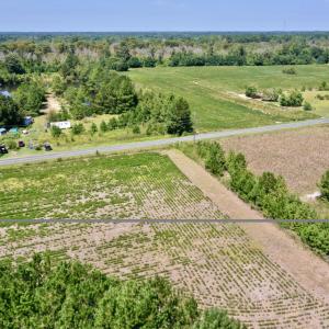 Photo #5 of Bud Stephens, Evergreen, NC 54.5 acres