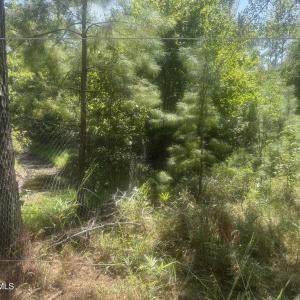Photo #12 of Bud Stephens, Evergreen, NC 54.5 acres