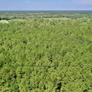 Photo #9 of Bud Stephens, Evergreen, NC 54.5 acres