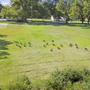 11_dji_0994