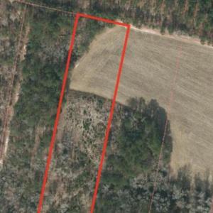 Photo #1 of Tr 2 Jr Keith Estate, Currie, NC 3.9 acres