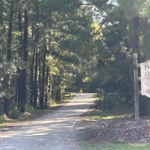 Photo #17 of 466 Indigo, Tabor City, NC 287.0 acres