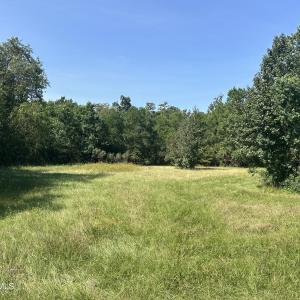 Photo #35 of 466 Indigo, Tabor City, NC 287.0 acres