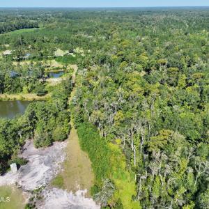 Photo #5 of 466 Indigo, Tabor City, NC 287.0 acres