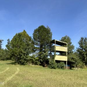 Photo #36 of 466 Indigo, Tabor City, NC 287.0 acres