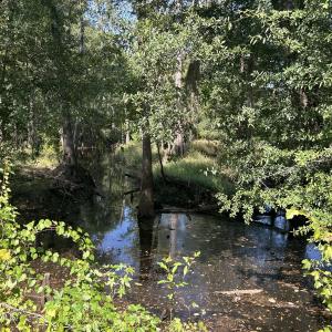 Photo #33 of 466 Indigo, Tabor City, NC 287.0 acres