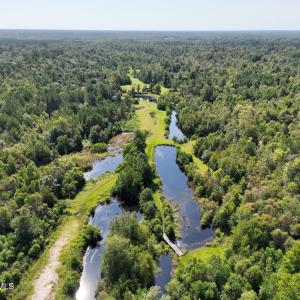 Photo #7 of 466 Indigo, Tabor City, NC 287.0 acres