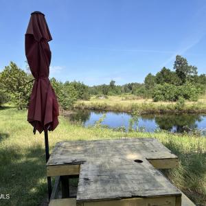 Photo #37 of 466 Indigo, Tabor City, NC 287.0 acres