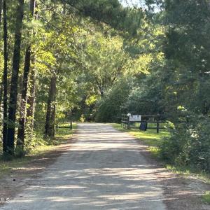 Photo #18 of 466 Indigo, Tabor City, NC 287.0 acres