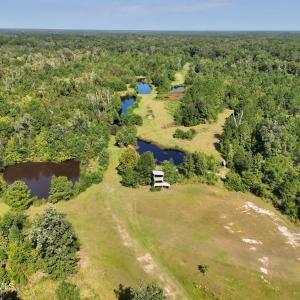 Photo #9 of 466 Indigo, Tabor City, NC 287.0 acres