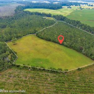 Photo #3 of N/A Parkertown, Hubert, NC 75.0 acres