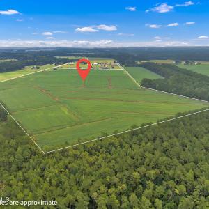Photo #5 of N/A Parkertown, Hubert, NC 75.0 acres