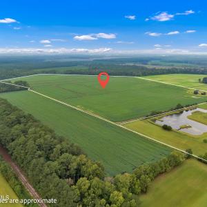 Photo #8 of N/A Parkertown, Hubert, NC 75.0 acres