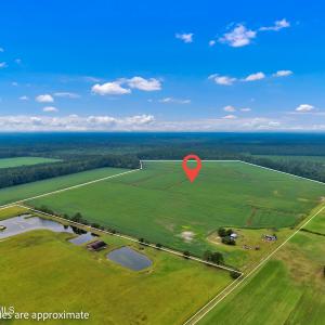 Photo #9 of N/A Parkertown, Hubert, NC 75.0 acres