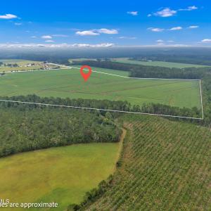 Photo #4 of N/A Parkertown, Hubert, NC 75.0 acres