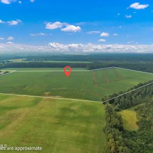 Photo #11 of N/A Parkertown, Hubert, NC 75.0 acres