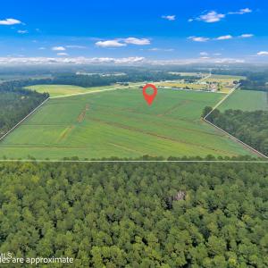 Photo #6 of N/A Parkertown, Hubert, NC 75.0 acres