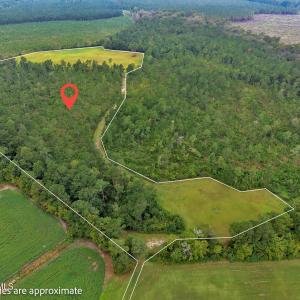 Photo #1 of N/A Parkertown, Hubert, NC 75.0 acres