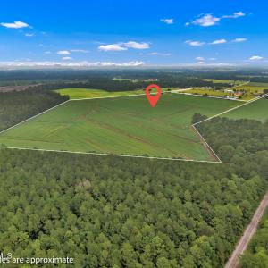 Photo #7 of N/A Parkertown, Hubert, NC 75.0 acres