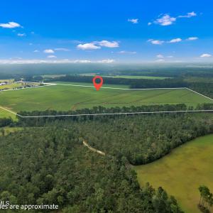 Photo #13 of N/A Parkertown, Hubert, NC 75.0 acres