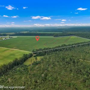 Photo #12 of N/A Parkertown, Hubert, NC 75.0 acres