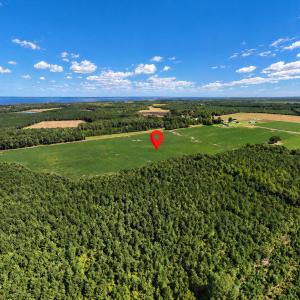 Photo #13 of Highway 32, Roper, NC 71.0 acres