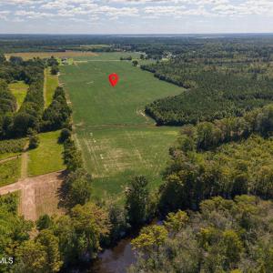 Photo #3 of Highway 32, Roper, NC 71.0 acres