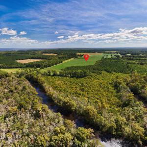 Photo #11 of Highway 32, Roper, NC 71.0 acres