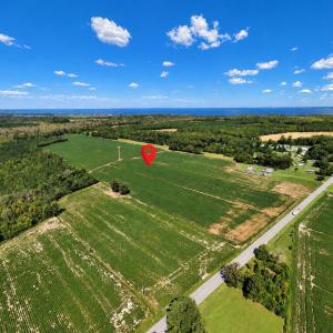 Photo #10 of Highway 32, Roper, NC 71.0 acres