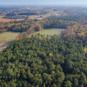 Photo #7 of 41.5 Acres High School, Teachey, NC 41.5 acres