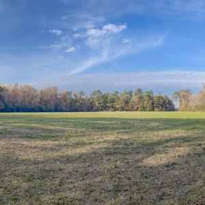 Photo #15 of 41.5 Acres High School, Teachey, NC 41.5 acres