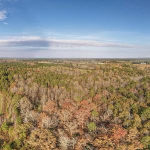 Photo #19 of 41.5 Acres High School, Teachey, NC 41.5 acres