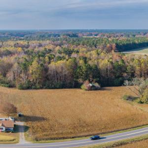 Photo #17 of 41.5 Acres High School, Teachey, NC 41.5 acres