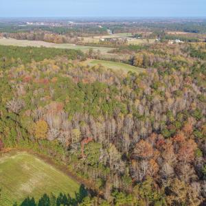 Photo #2 of 41.5 Acres High School, Teachey, NC 41.5 acres