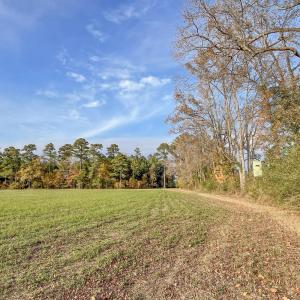 Photo #16 of 41.5 Acres High School, Teachey, NC 41.5 acres
