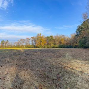 Photo #13 of 41.5 Acres High School, Teachey, NC 41.5 acres