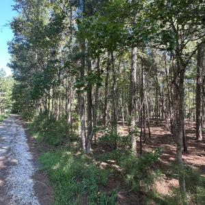 Photo #4 of 1380 Manuel, Supply, NC 3.2 acres