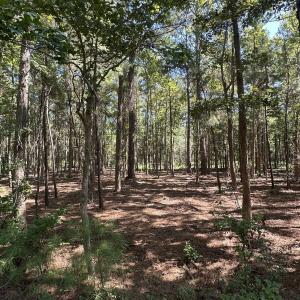 Photo #2 of 1380 Manuel, Supply, NC 3.2 acres