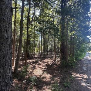 Photo #3 of 1380 Manuel, Supply, NC 3.2 acres