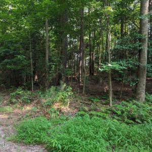 Photo #1 of 4595 Mercer Mill Brown Marsh, Clarkton, NC 10.2 acres