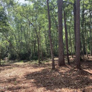Photo #2 of Na Dandy Acres Lane (Easement), Varnamtown, NC 8.9 acres