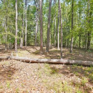 Photo #5 of 3496 Fairway Crest, Shallotte, NC 0.3 acres