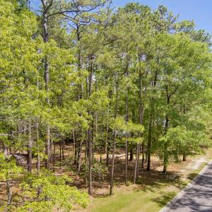 Photo #11 of 3496 Fairway Crest, Shallotte, NC 0.3 acres